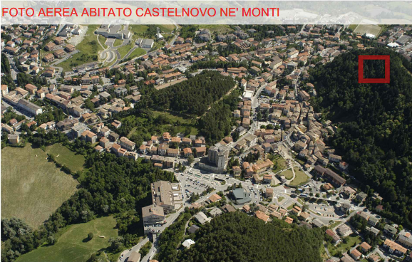 Foto Aerea CASTELNOVO NE MONTI